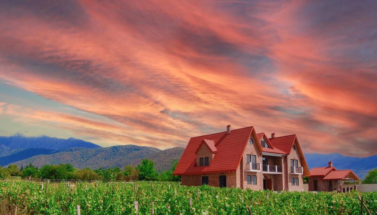 Begaso Family Winery Hotel Kvareli Exterior foto